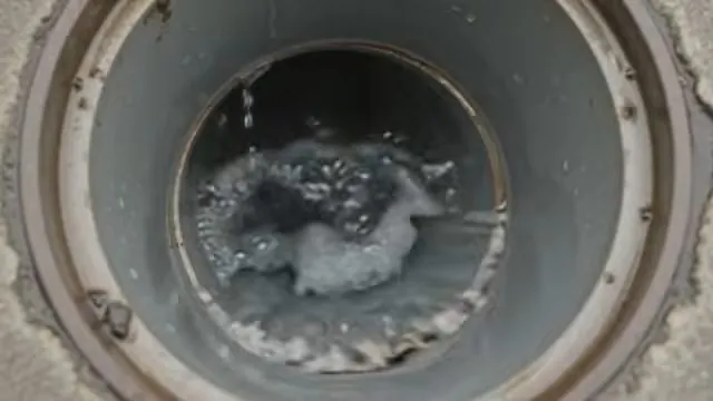 Looking down a round floor drain with water swirling in the pipe below