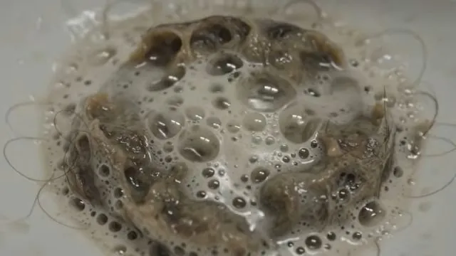 Sink drain covered in hair and foamy debris with water bubbling around it