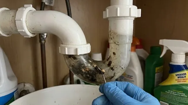 Gloved hand with a wire at a P-trap under a sink, with debris inside the clear trap section