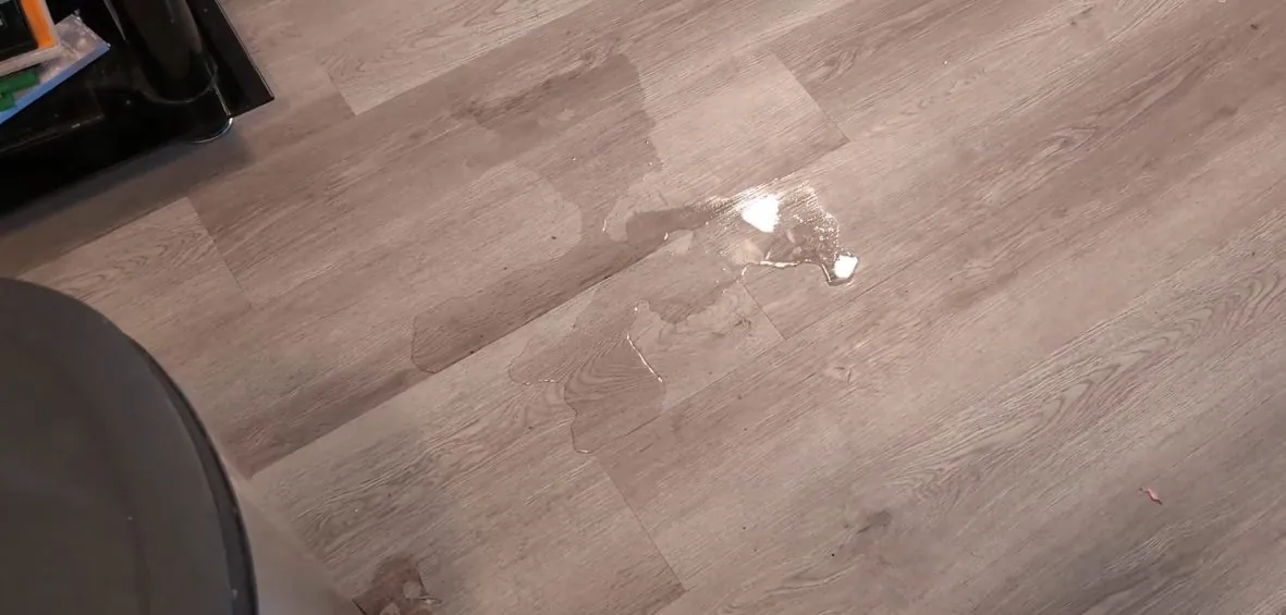 Small water spot on a gray wood-look plank floor